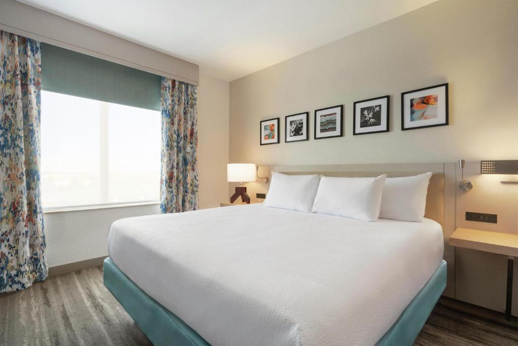 Hilton Garden Inn Fort Collins - Suite Junior King Con Sofá Cama