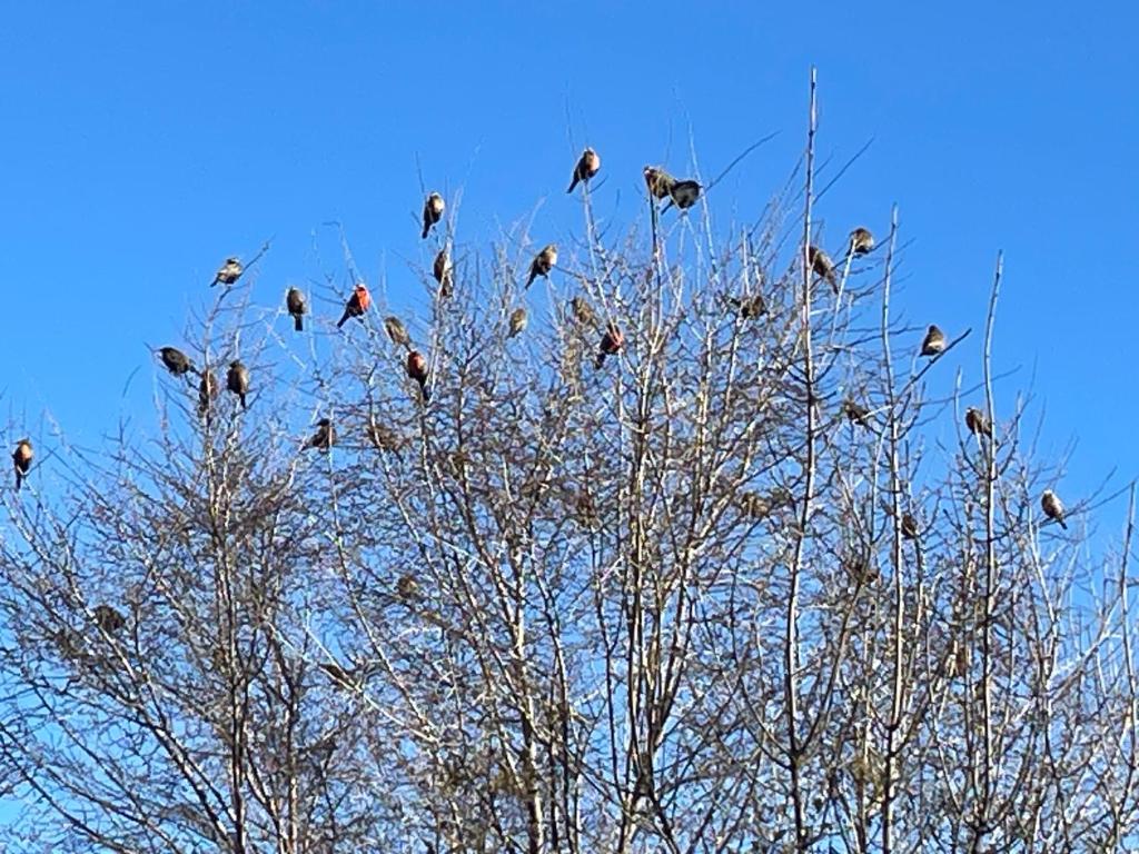 Hosteria La Chacra Moto Friendly