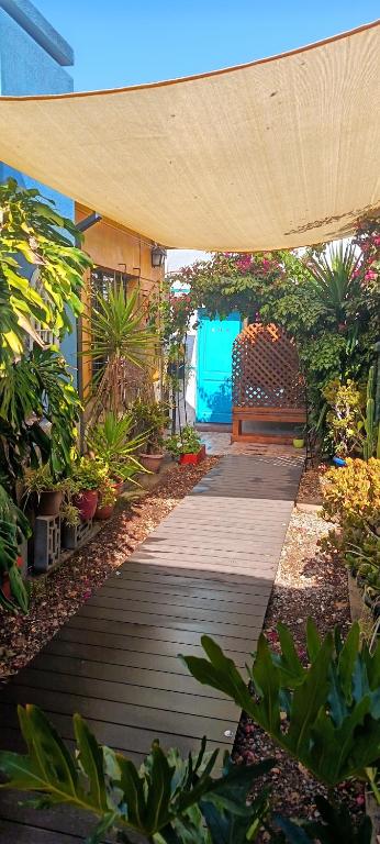 a walkway in a garden with plants and a bench at Hostal La Casa del Puente in Santiago