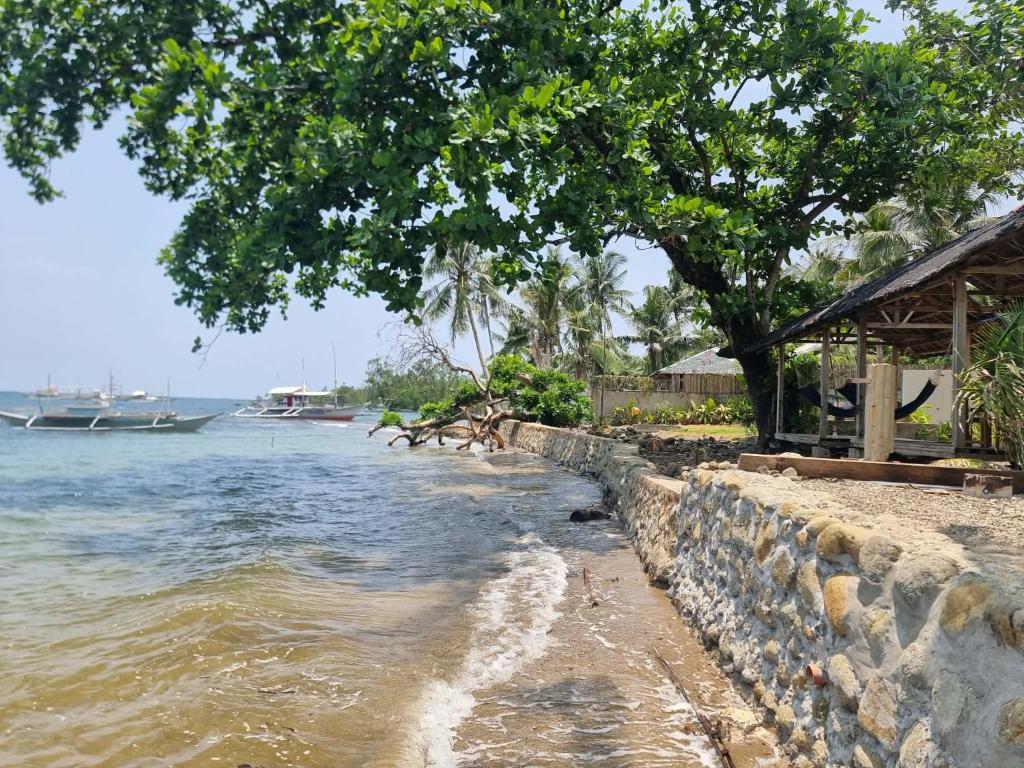 a beach with a tree and water and a boat at Vhora Inn Sibuyan in Magdiwang