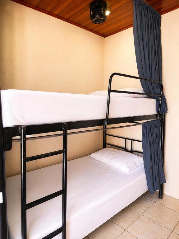Alpha Arenal Hostel - 混合宿舍间的双层床