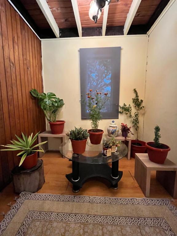 a room filled with potted plants and a table at Cochrane hostal in Los Ángeles