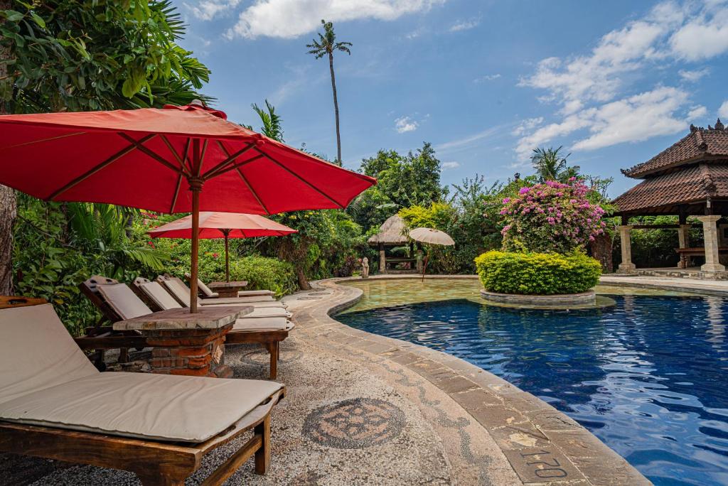 ein Pool mit Liegestühlen und Sonnenschirmen neben einem Resort in der Unterkunft Rambutan Hotel in Lovina