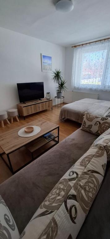 a living room with two beds and a flat screen tv at Apartment KRIVÁŇ in Vyšné Hágy