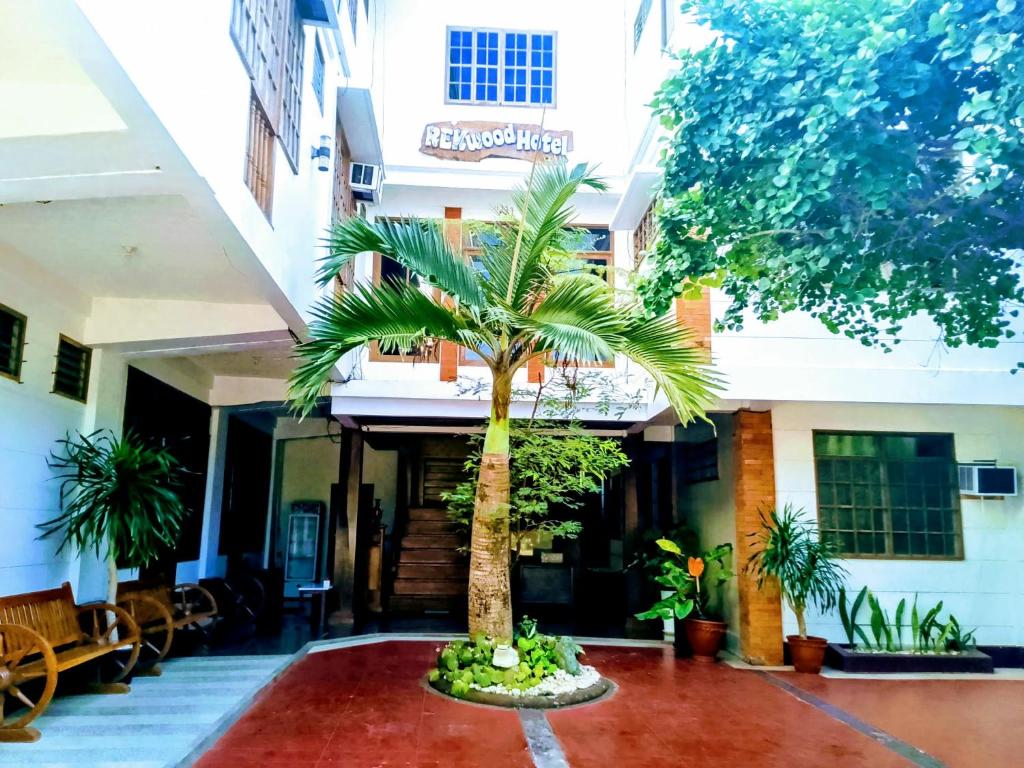 a palm tree in front of a building at REKWOOD Hotel in Boracay