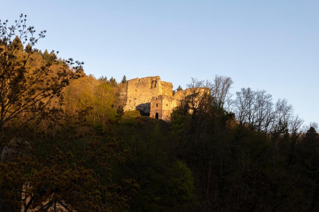 Hôtel Les Rives – photo 25