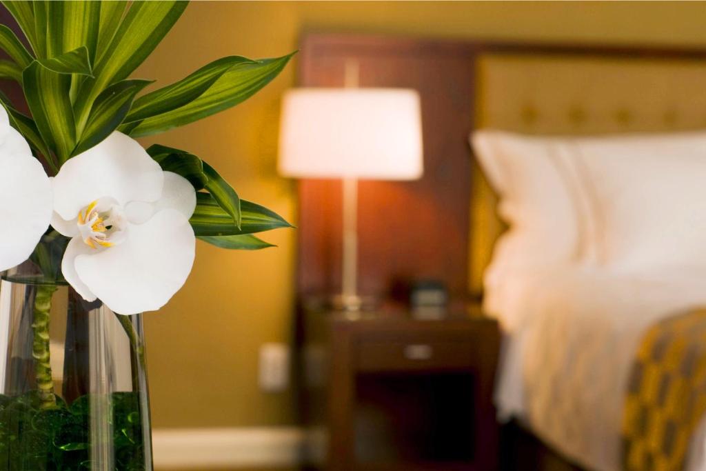 Suite Executive