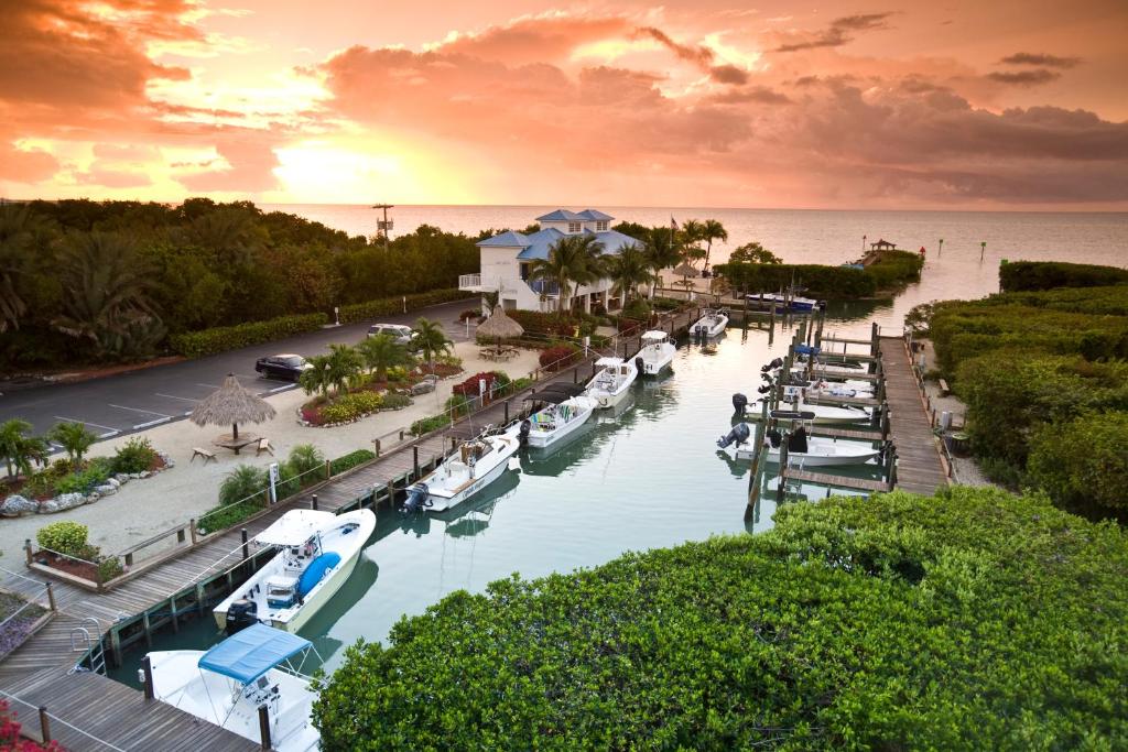 a group of boats docked at a marina at sunset at Ocean Pointe Suites at Key Largo in Key Largo