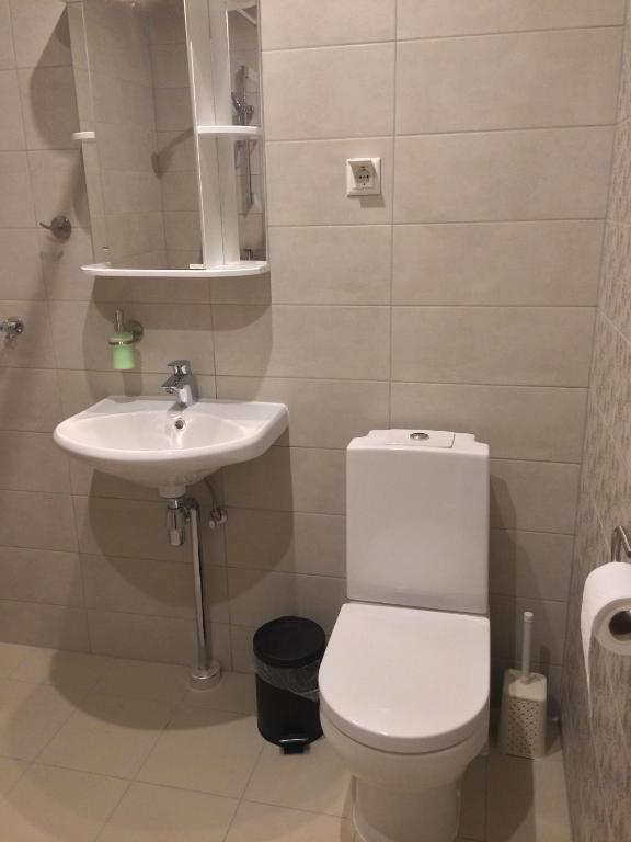 a bathroom with a toilet and a sink at Fortuuna 5 Apartment in Tartu