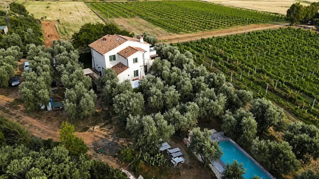 an aerial view of a house in a vineyard with a pool at Agriturismo mare natura in Castiglione della Pescaia