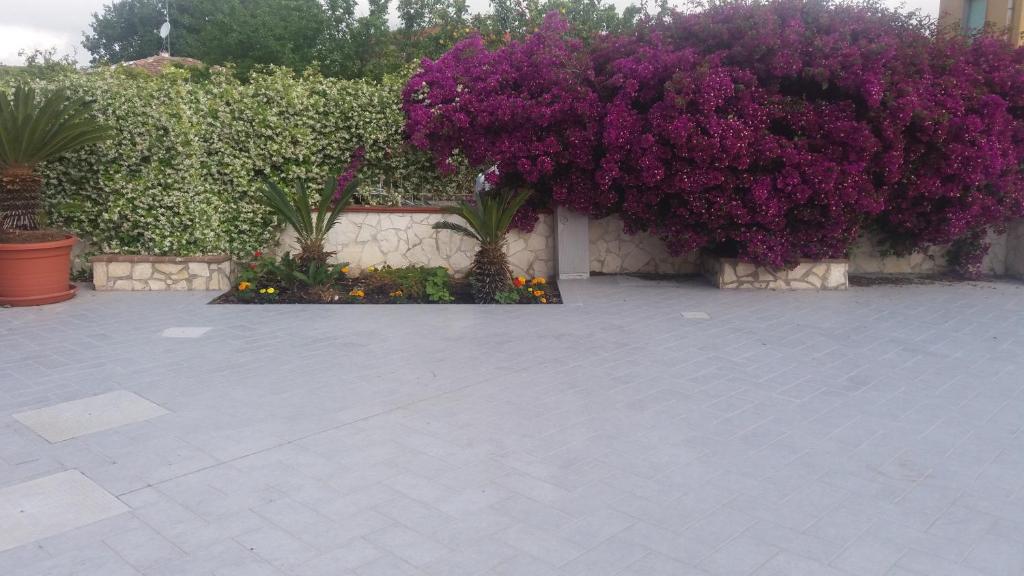 Zahrada ubytování Casa Fusco