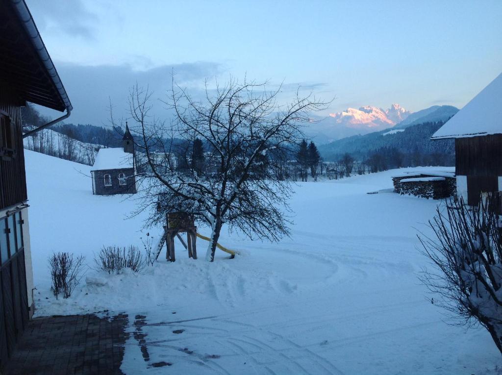 Ferienwohnung Strubbauer Urlaub am Bauernhof during the winter