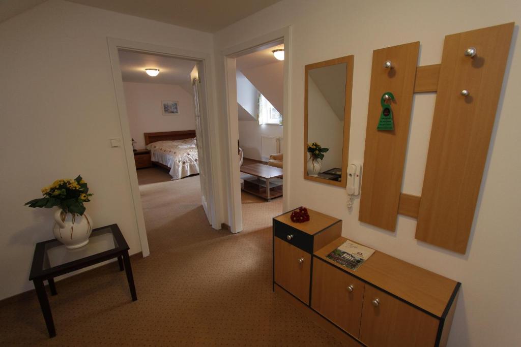 Spa & Wellness Hotel Harmonie - 19