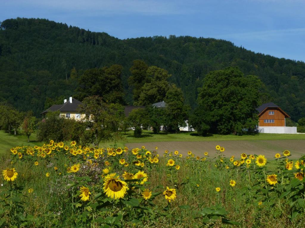 Paesaggio naturale nelle vicinanze dell'appartamento