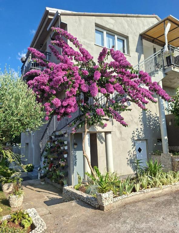 a tree with purple flowers in front of a building at Seba Apartments in Korčula