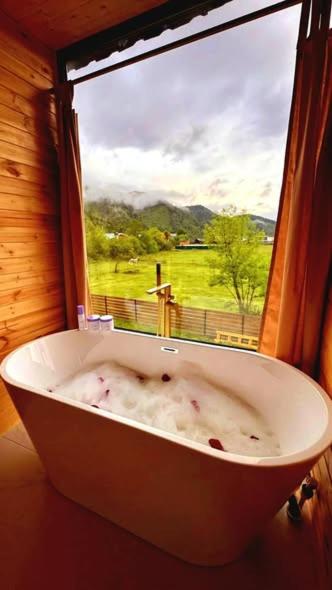 a bath tub sitting in front of a window at Borjomi Hills in Borjomi