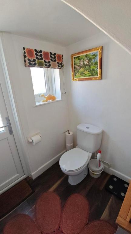 Aller Park, Newton Abbot - Habitación Individual