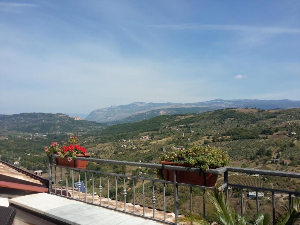 einen Blick vom Balkon mit Blumen in Töpfen in der Unterkunft Al Vicolo del Cilento in Felitto