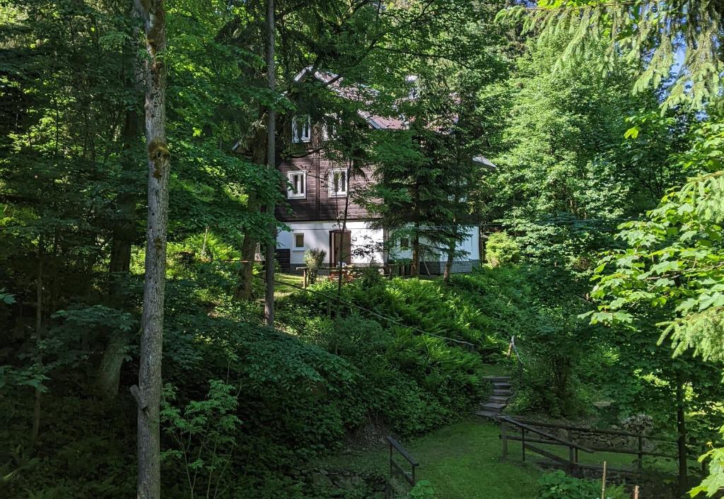 a house in the middle of a forest of trees at Na Černém potoce in Rokytnice nad Jizerou