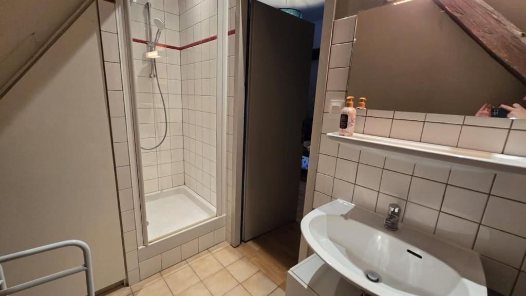 Gite familiale avec piscine Hunawihr, proche de Ribeauvillé et Colmar – photo 41