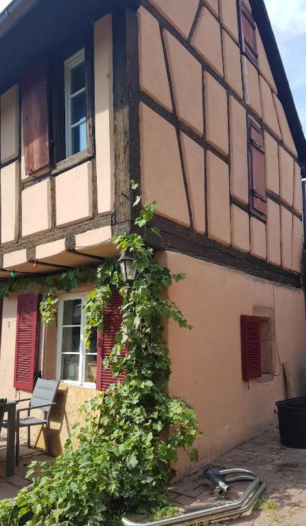 Gite familiale avec piscine Hunawihr, proche de Ribeauvillé et Colmar – photo 38