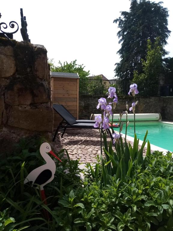 Gite familiale avec piscine Hunawihr, proche de Ribeauvillé et Colmar – photo 37