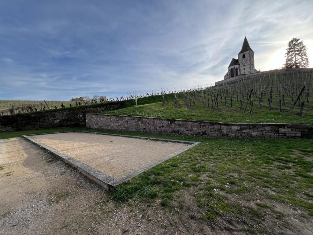 Gite familiale avec piscine Hunawihr, proche de Ribeauvillé et Colmar – photo 29