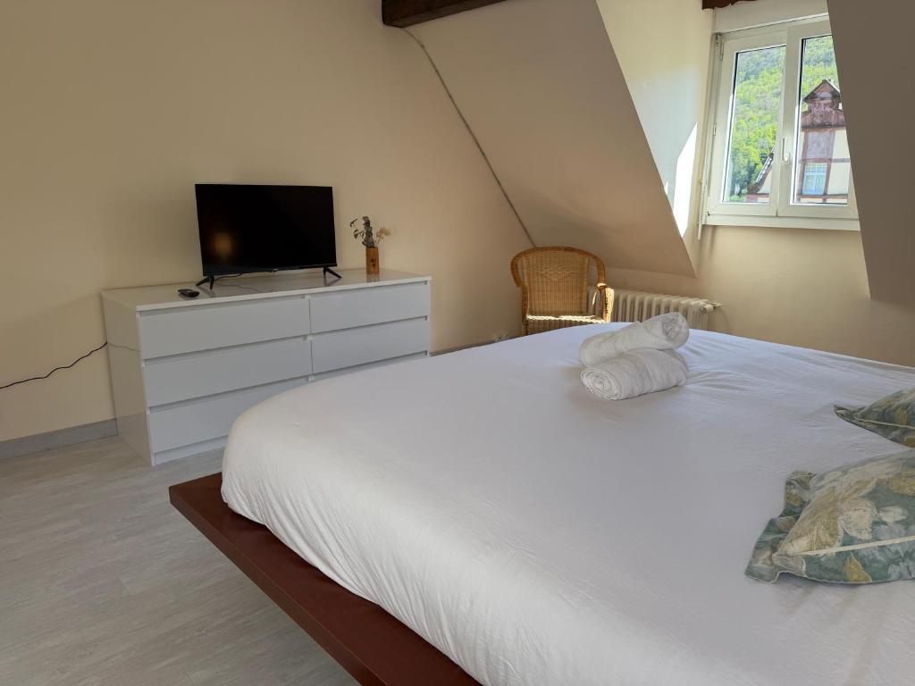 Maison des Vignes – photo 25