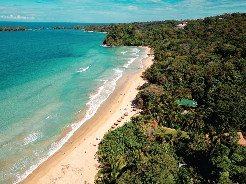 an aerial view of a beach with trees and the ocean at Palmar Beach Lodge in Bocas Town