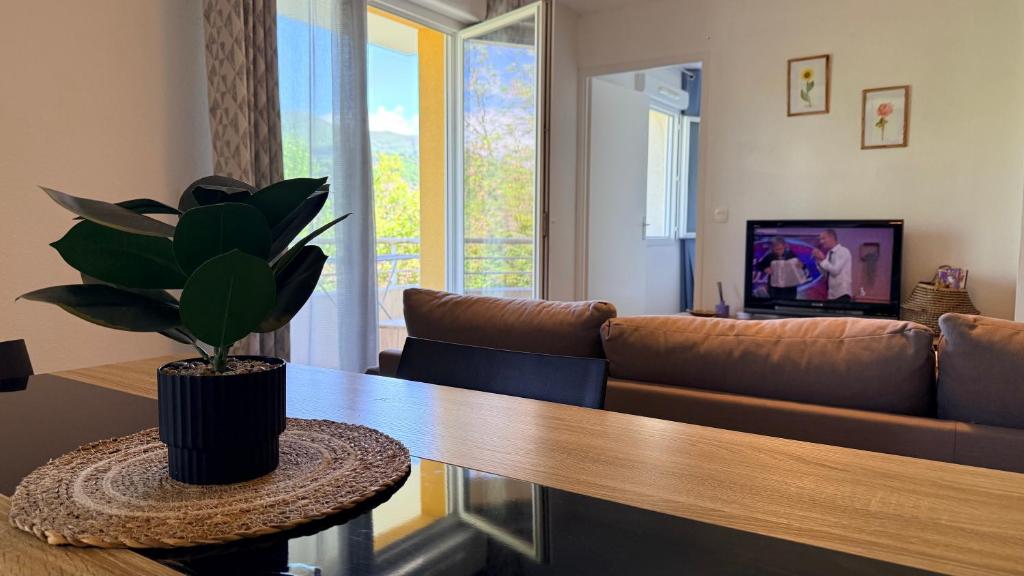 Cozy apartment