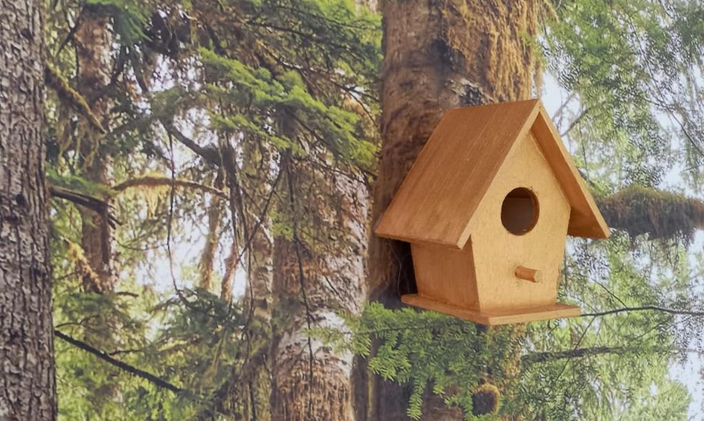 a birdhouse hanging from a tree in a forest at Heimat in Karstädt