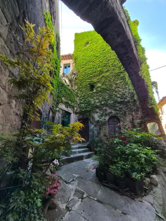 a building covered in green ivy in an alley at PapalePapale B&B in Viterbo
