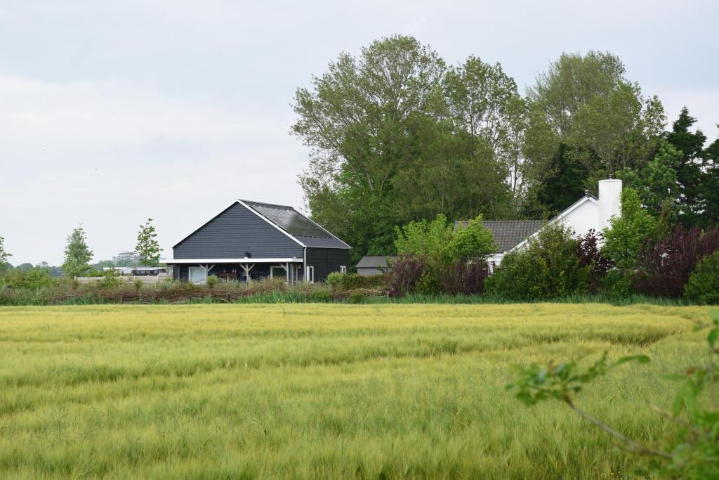 a house in front of a field of grass at Maison Zélandaise in Koudekerke