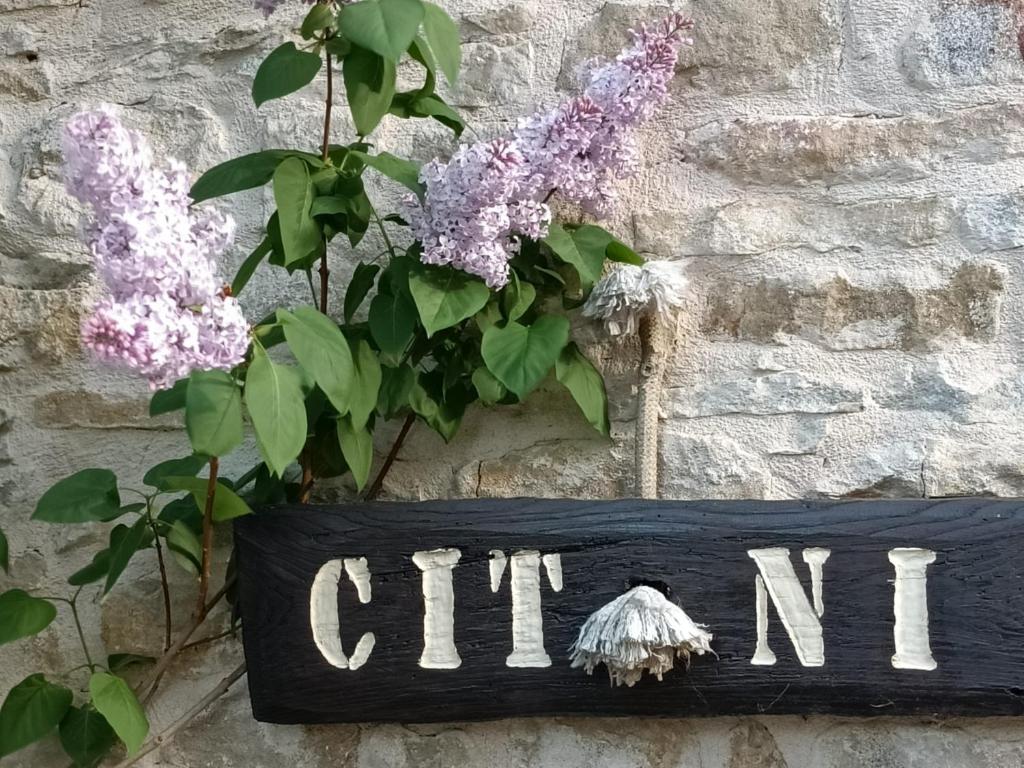 Ein Schild mit der Aufschrift „cntn“ an einer Wand mit Blumen in der Unterkunft Cit Ni in Bosia