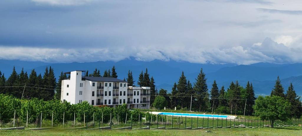 a building with a pool in front of a mountain at TelaValley Residence in Shalauri
