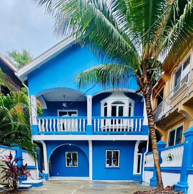 a blue house with a palm tree in front of it at Blue Paradise in Coxen Hole