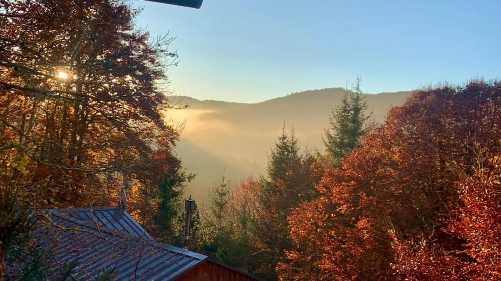 a house in the middle of a forest with trees at Chalet paisible dans les Cévennes avec sauna privé in Dourbies