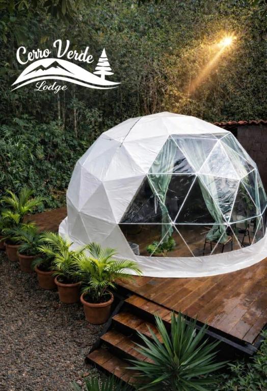 a iguana tent in a garden with potted plants at Cerro Verde Glamping Cartago in Lourdes