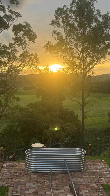 a bench sitting in front of a tree with the sunset at Kingaley Farmstay in Fosterton