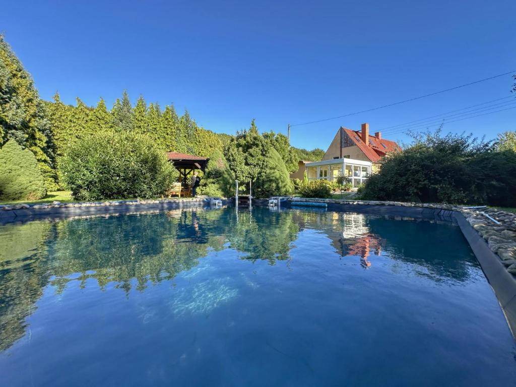a pool of water in a yard with a house at Vogel in Pirna