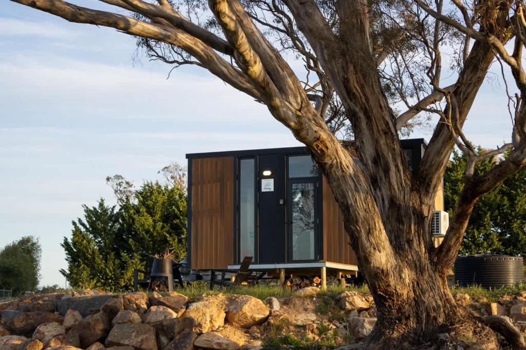 a tiny house sits next to a tree at Beckford Tiny House 1 by Tiny Away in Good Hope
