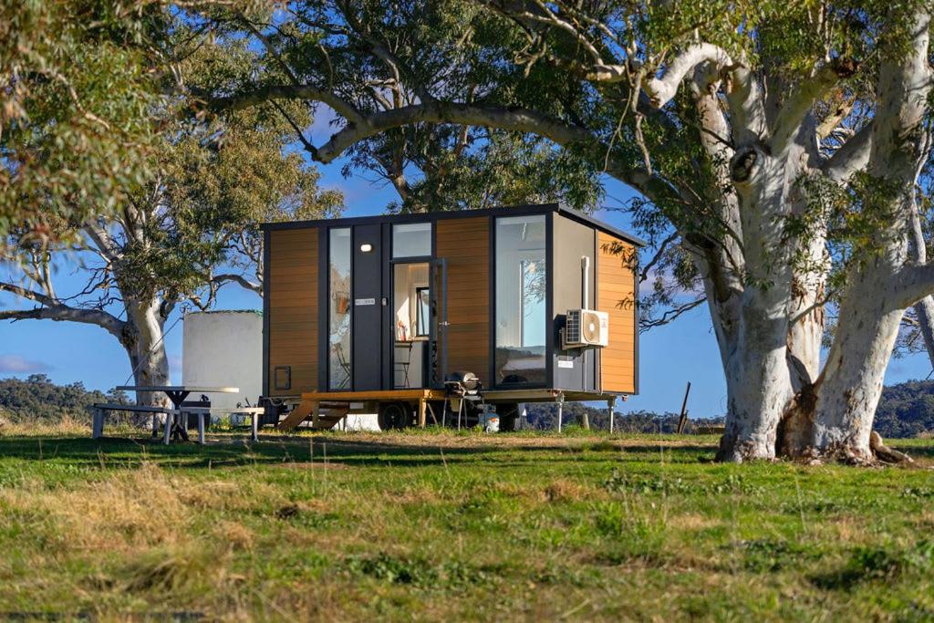 a tiny house sitting in a field next to a tree at Myrtle at Lexington Park in Tarlo