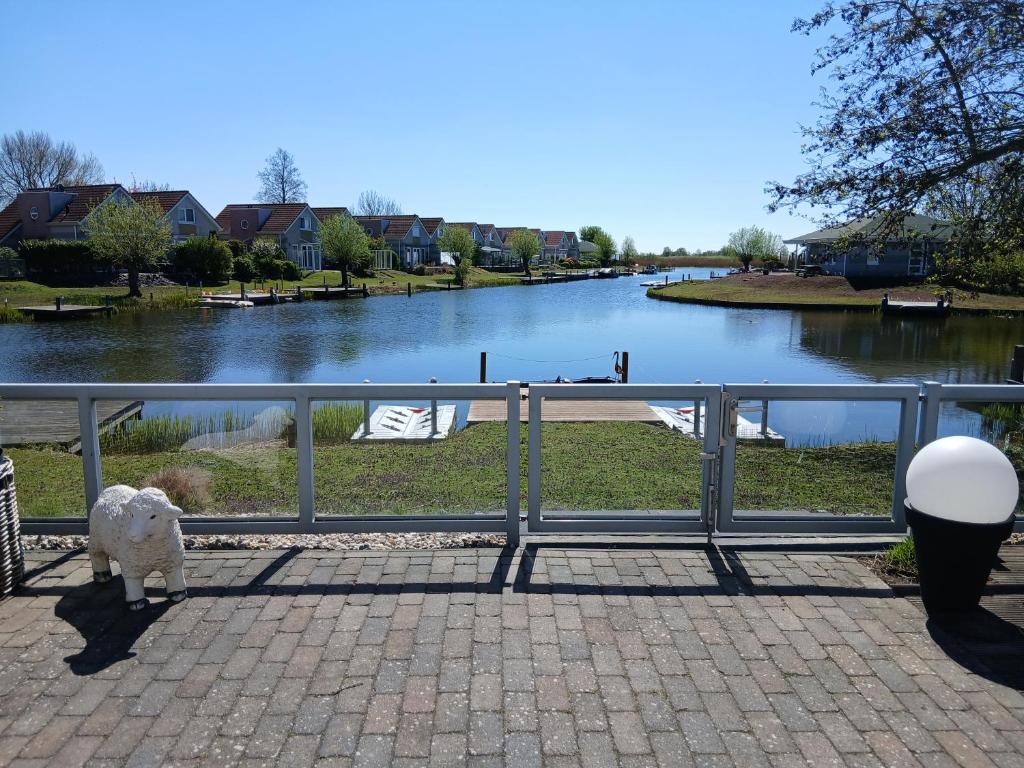 a dog standing next to a fence next to a river at Villa Sonnenschein Makkum in Makkum