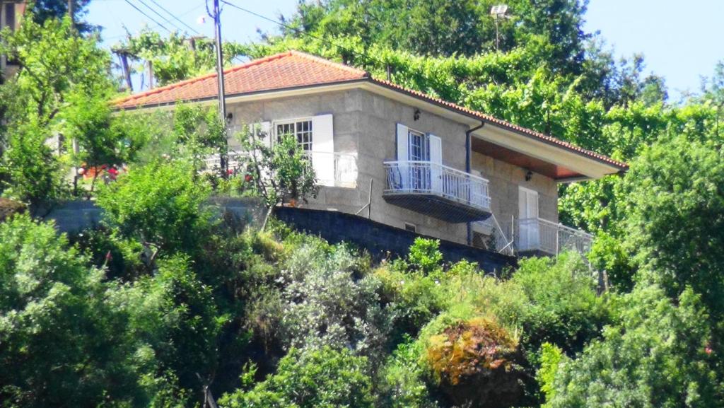 een huis aan de zijkant van een heuvel met bomen bij Casa do Tamega in Amarante