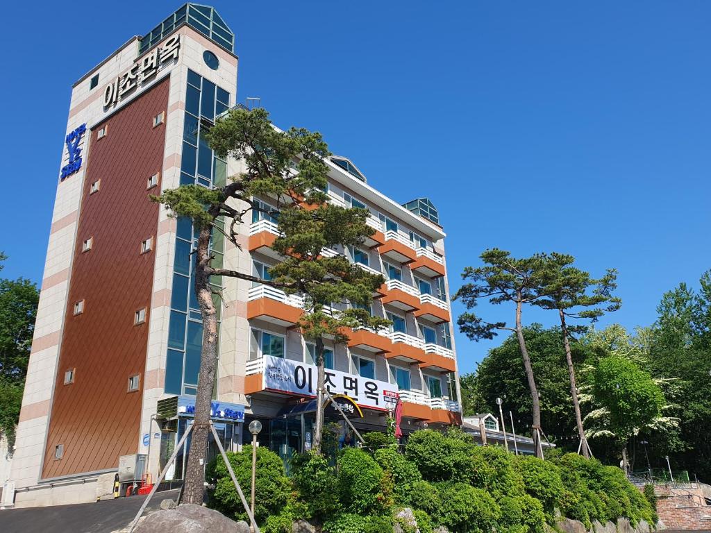 a building with a tree in front of it at Y2 Stay Hotel in Sokcho
