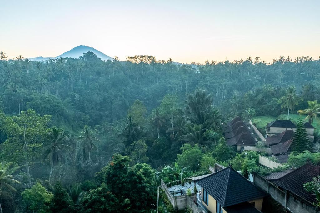 a view of a forest with a mountain in the background at Grand Campuhan in Tegalalang