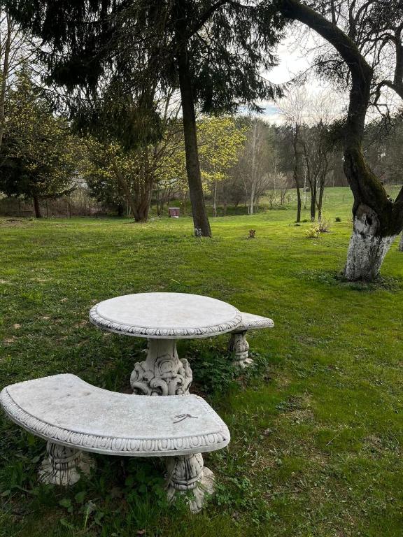 a stone picnic table in a park with trees at Cozy Forest House in Jonkowo