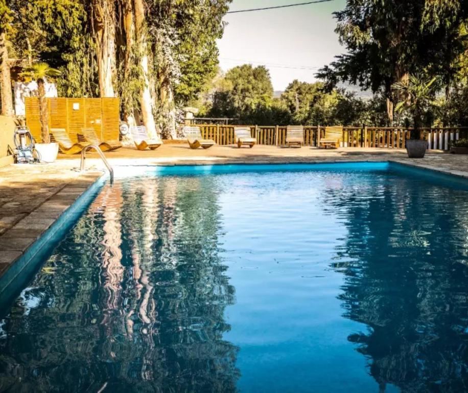 a swimming pool with blue water and chairs and trees at Cottage PARKS OLVA in Sartène