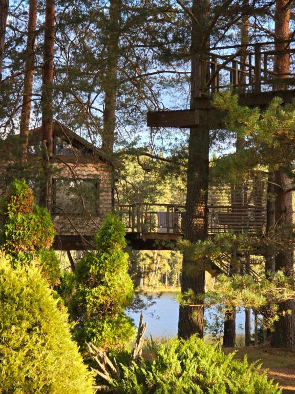 Beachfront · Private Beach Treehouse Čiekurs - Maison Dans L'arbre Standard Avec Vue Sur Le Lac