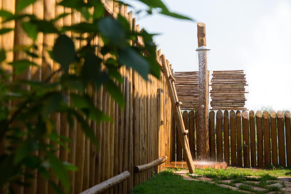  Casas Gengibre